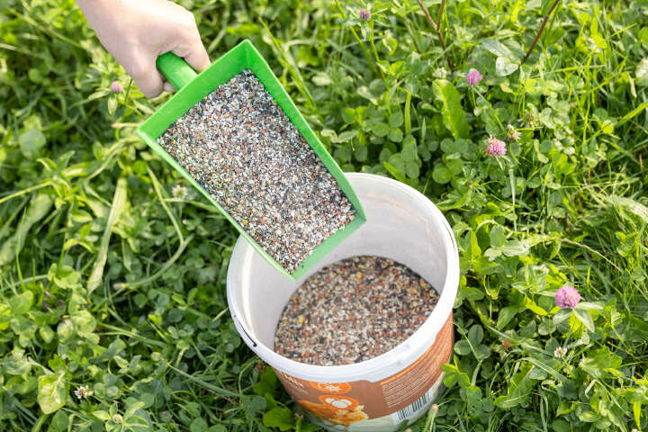 ida plus Mineral Grit Mix